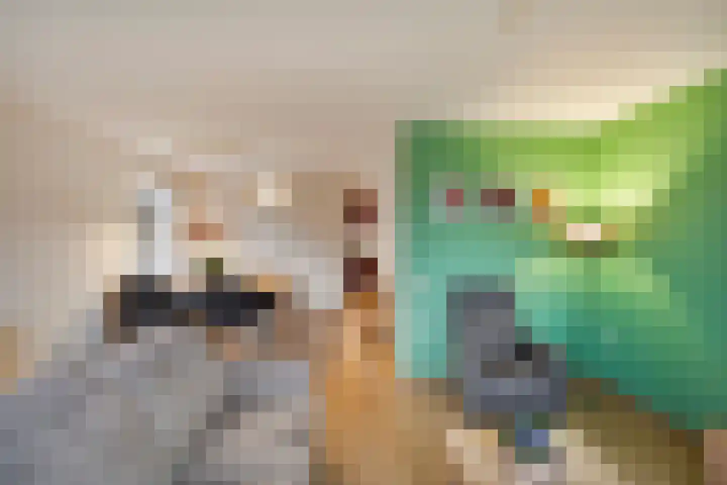 Aan 't Spoor 5 Vroomshoop thumbnail 17