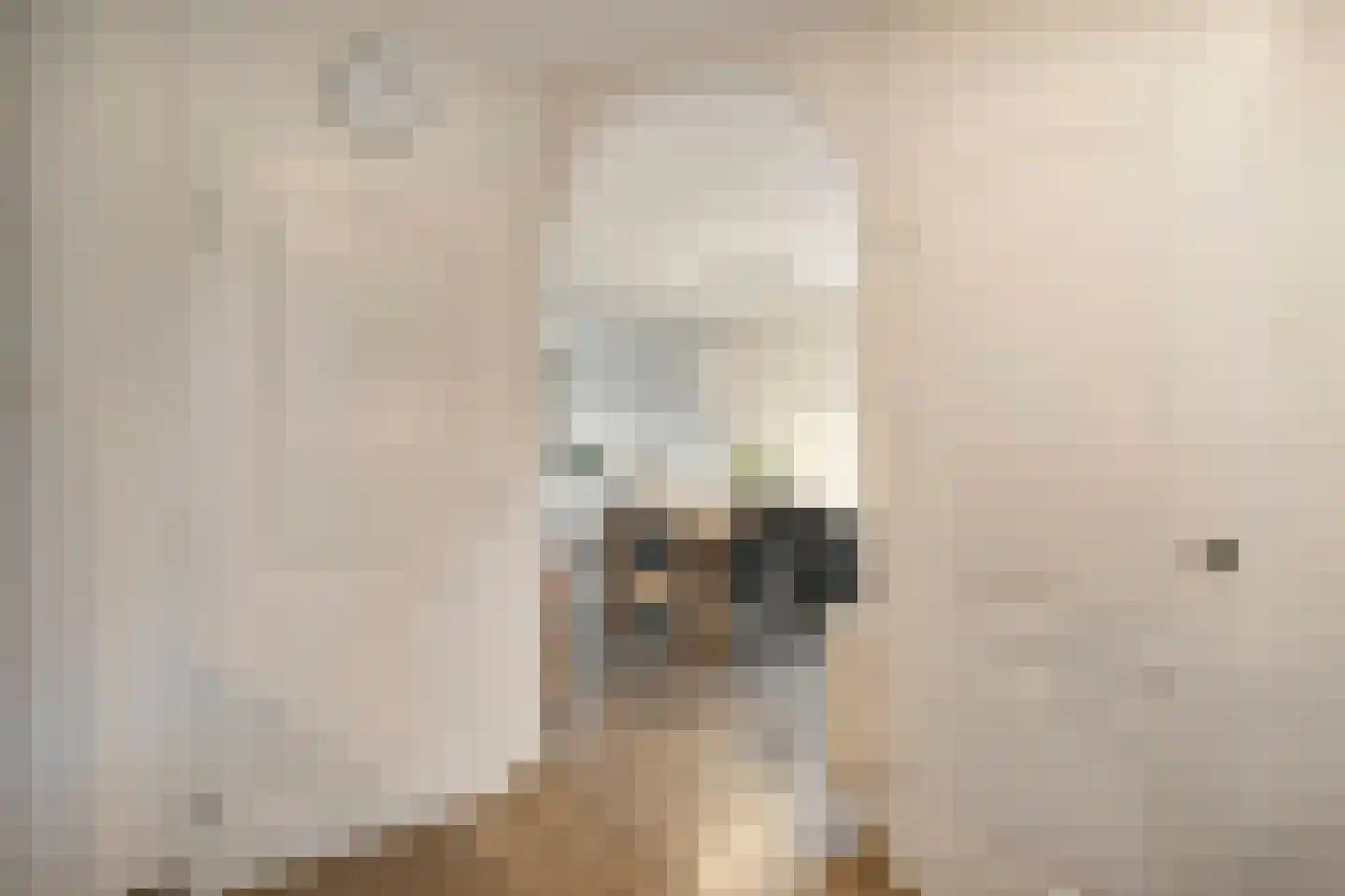 Aan 't Spoor 5 Vroomshoop thumbnail 19