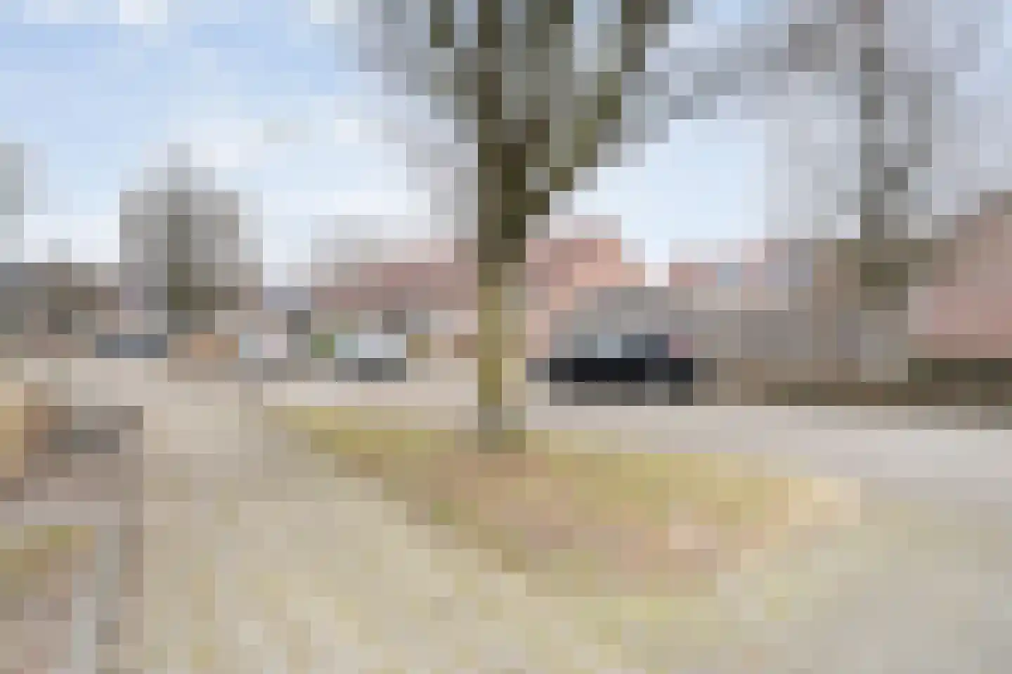 Aan 't Spoor 5 Vroomshoop thumbnail 6