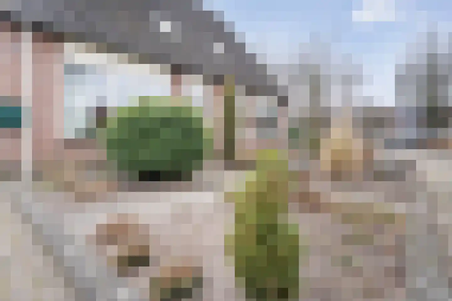 Aan 't Spoor 5 Vroomshoop thumbnail 7