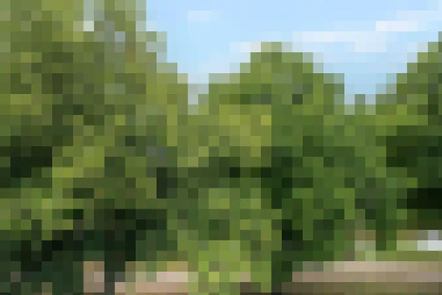 Aan 't Verlaat 13 Delft thumbnail 13