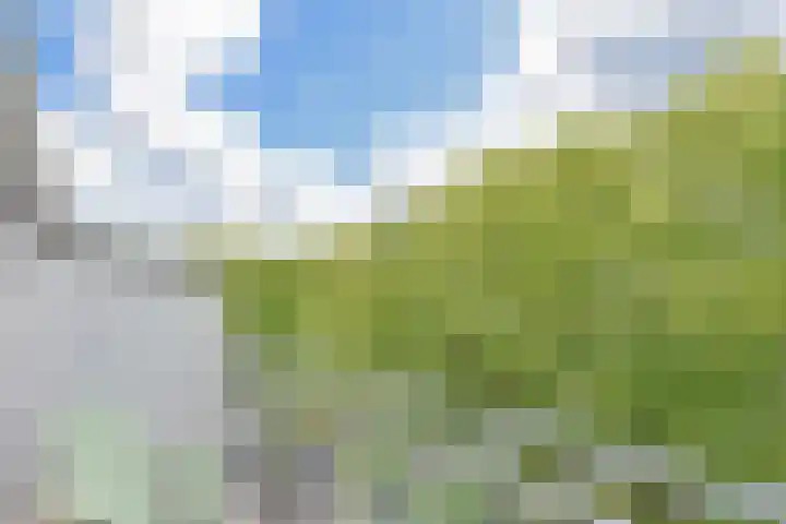 Aan 't Verlaat 19 Delft thumbnail 14