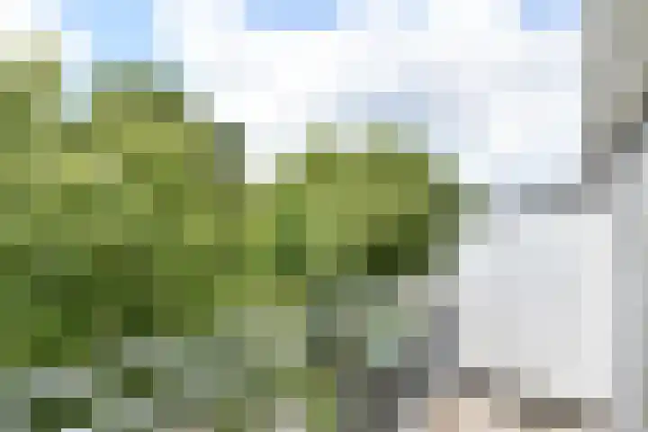 Aan 't Verlaat 19 Delft thumbnail 15
