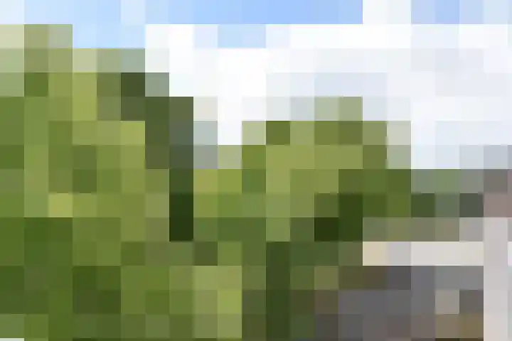 Aan 't Verlaat 19 Delft thumbnail 16