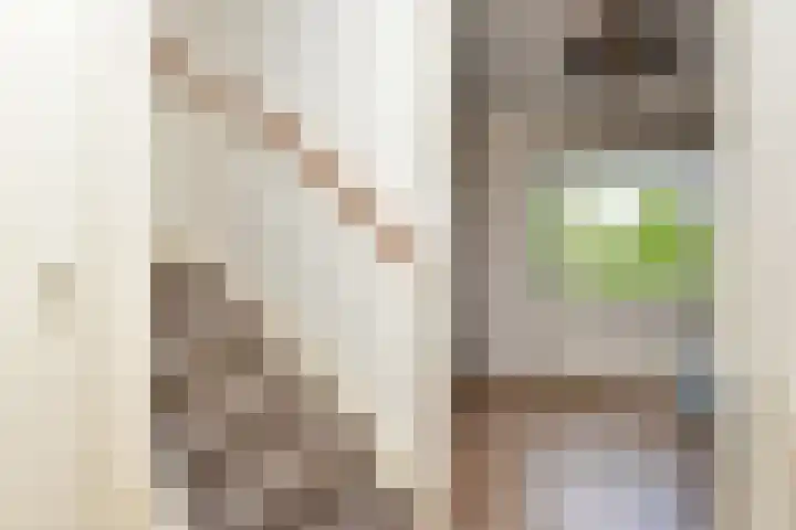Aan 't Verlaat 19 Delft thumbnail 27