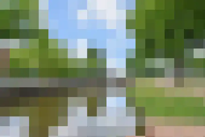 Aan 't Verlaat 19 Delft thumbnail 34