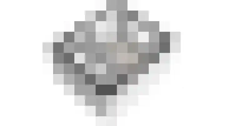 Aan 't Verlaat 19 Delft thumbnail 40