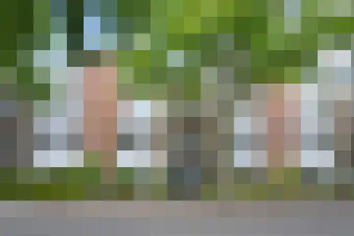 Aan 't Verlaat 19 Delft thumbnail 5