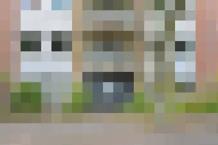 Aan 't Verlaat 19 Delft thumbnail 7