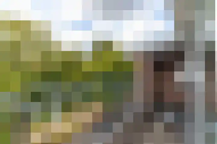 Aan 't Verlaat 24 Delft thumbnail 10
