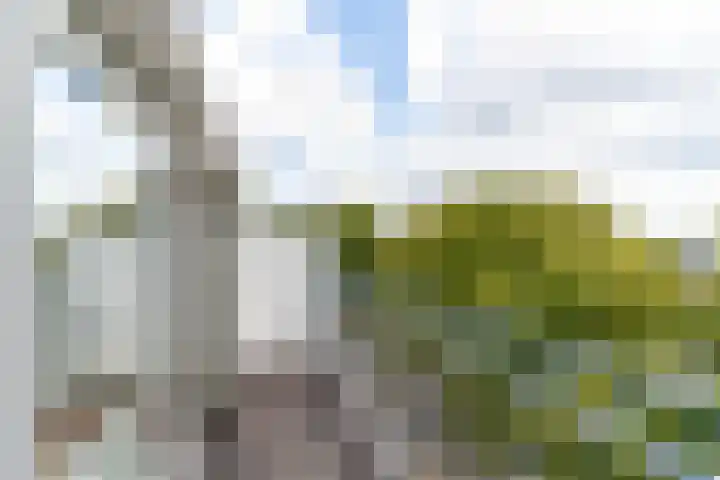 Aan 't Verlaat 24 Delft thumbnail 11