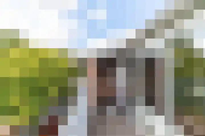 Aan 't Verlaat 24 Delft thumbnail 12