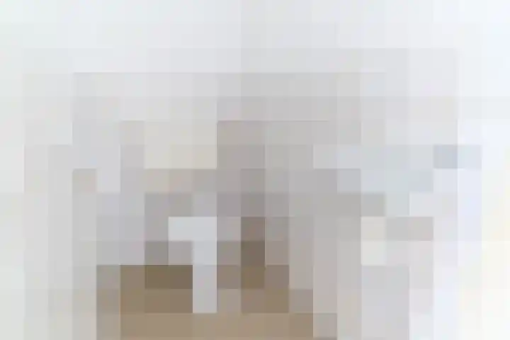 Aan 't Verlaat 24 Delft thumbnail 15