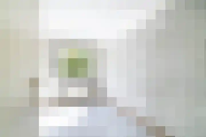 Aan 't Verlaat 24 Delft thumbnail 16