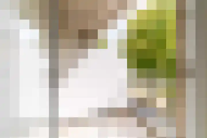 Aan 't Verlaat 24 Delft thumbnail 18