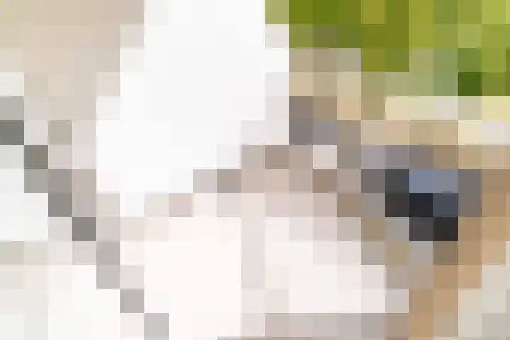 Aan 't Verlaat 24 Delft thumbnail 19