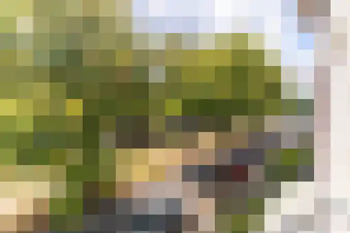 Aan 't Verlaat 24 Delft thumbnail 20