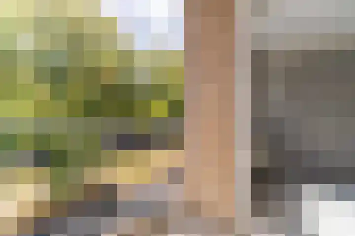 Aan 't Verlaat 24 Delft thumbnail 21