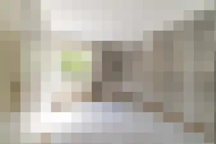 Aan 't Verlaat 24 Delft thumbnail 22