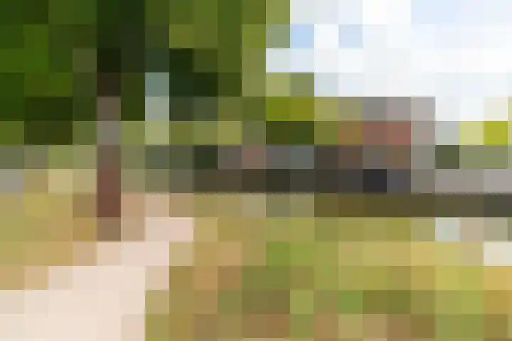 Aan 't Verlaat 24 Delft thumbnail 25