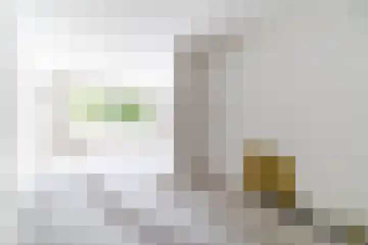 Aan 't Verlaat 6 Delft thumbnail 12