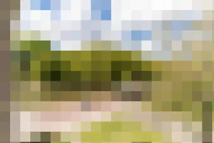 Aan 't Verlaat 6 Delft thumbnail 16