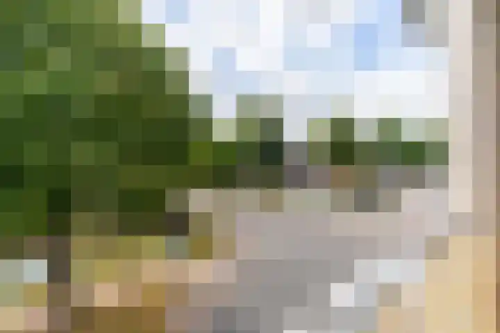 Aan 't Verlaat 6 Delft thumbnail 20