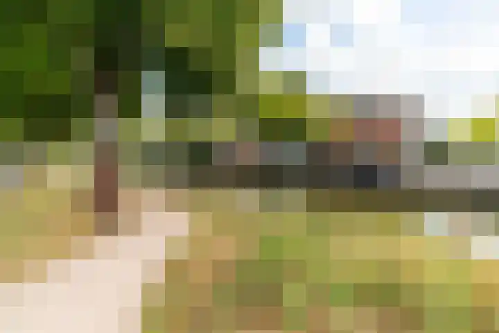 Aan 't Verlaat 6 Delft thumbnail 21