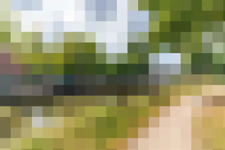 Aan 't Verlaat 6 Delft thumbnail 22