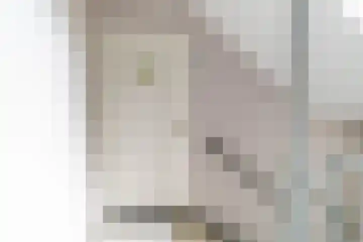 Aan 't Verlaat 6 Delft thumbnail 4