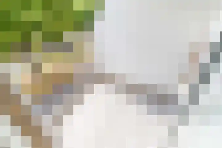 Aan 't Verlaat 6 Delft thumbnail 8