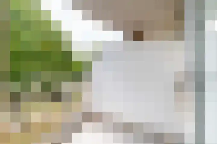 Aan 't Verlaat 6 Delft thumbnail 9