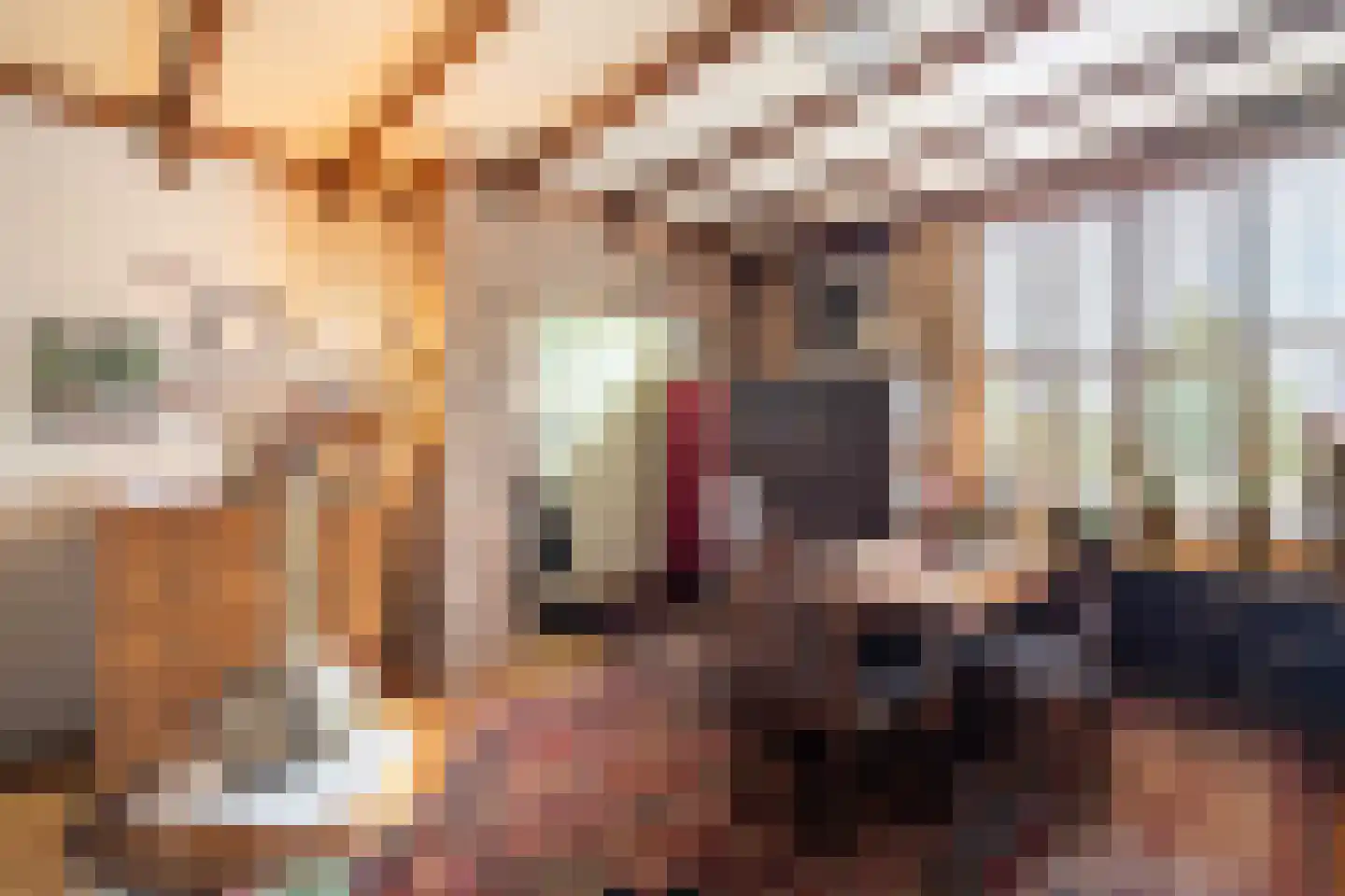 Aan Vijftien 18 Nederweert thumbnail 10