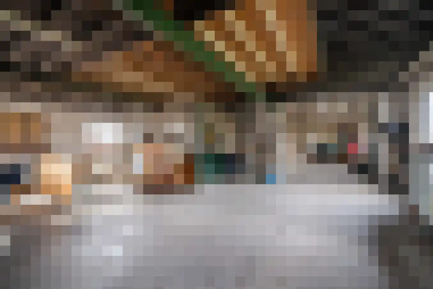 Aan Vijftien 18 Nederweert thumbnail 30