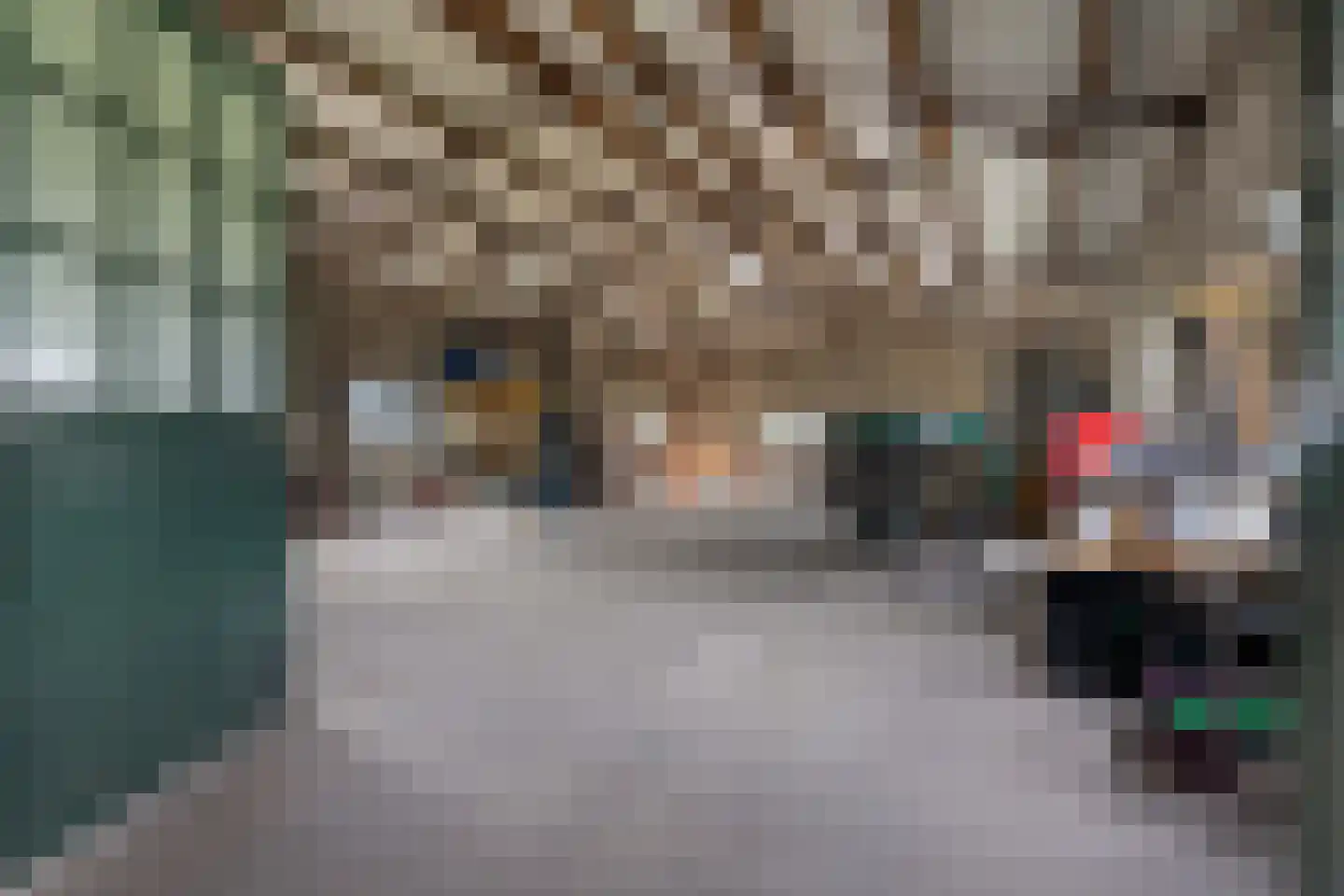 Aan Vijftien 18 Nederweert thumbnail 31