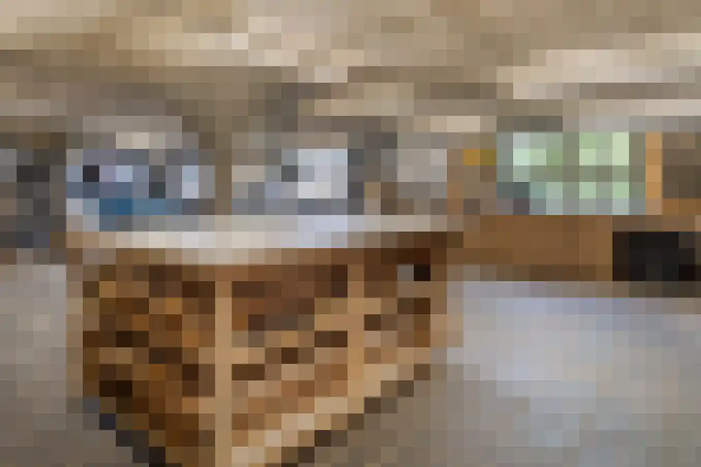 Aan Vijftien 18 Nederweert thumbnail 34