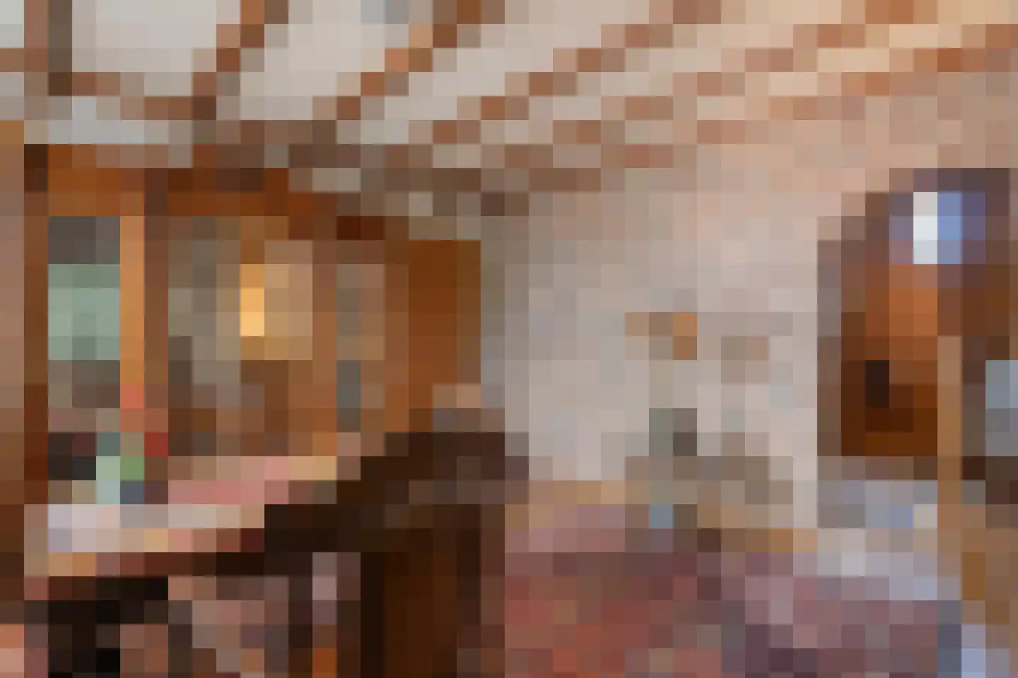 Aan Vijftien 18 Nederweert thumbnail 4