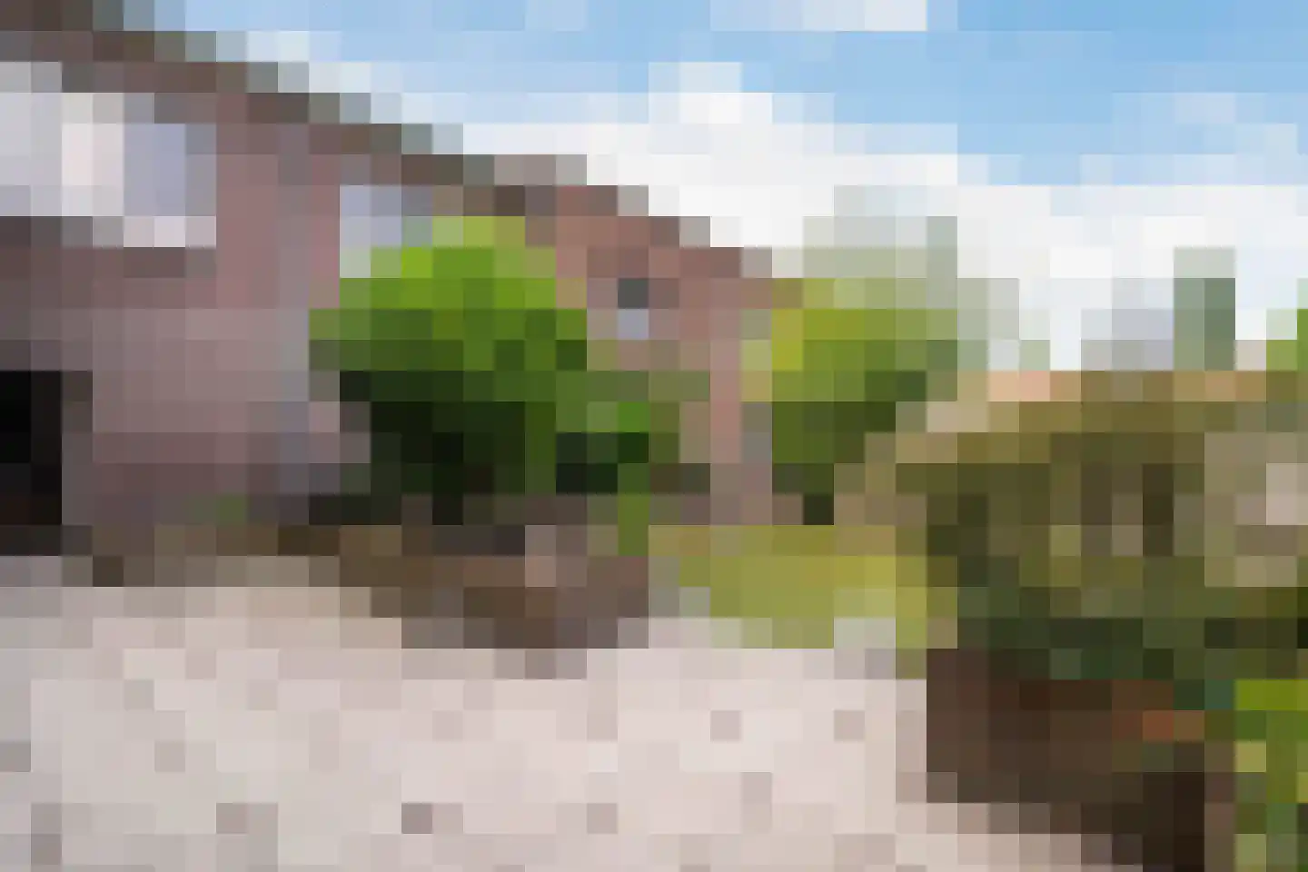 Aan Vijftien 18 Nederweert thumbnail 45