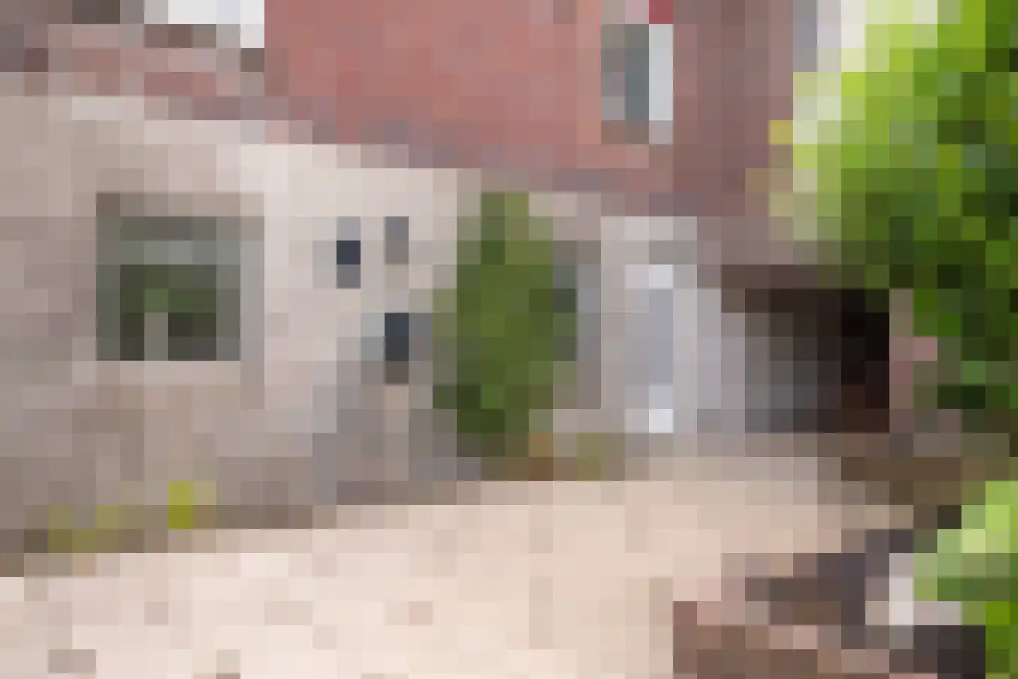 Aan Vijftien 18 Nederweert thumbnail 46