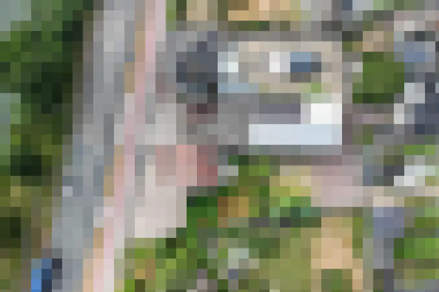 Aan Vijftien 18 Nederweert thumbnail 53
