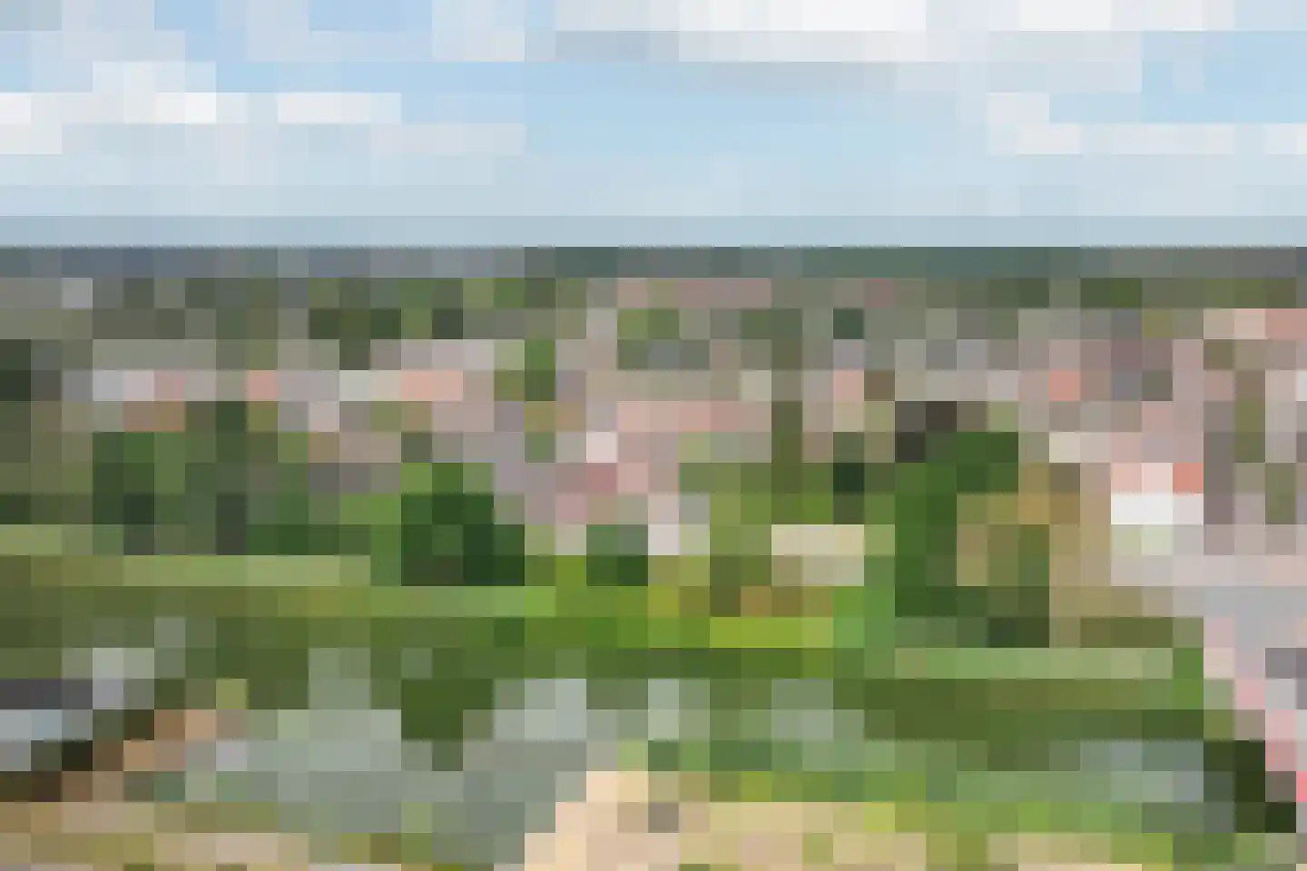 Aan Vijftien 18 Nederweert thumbnail 55