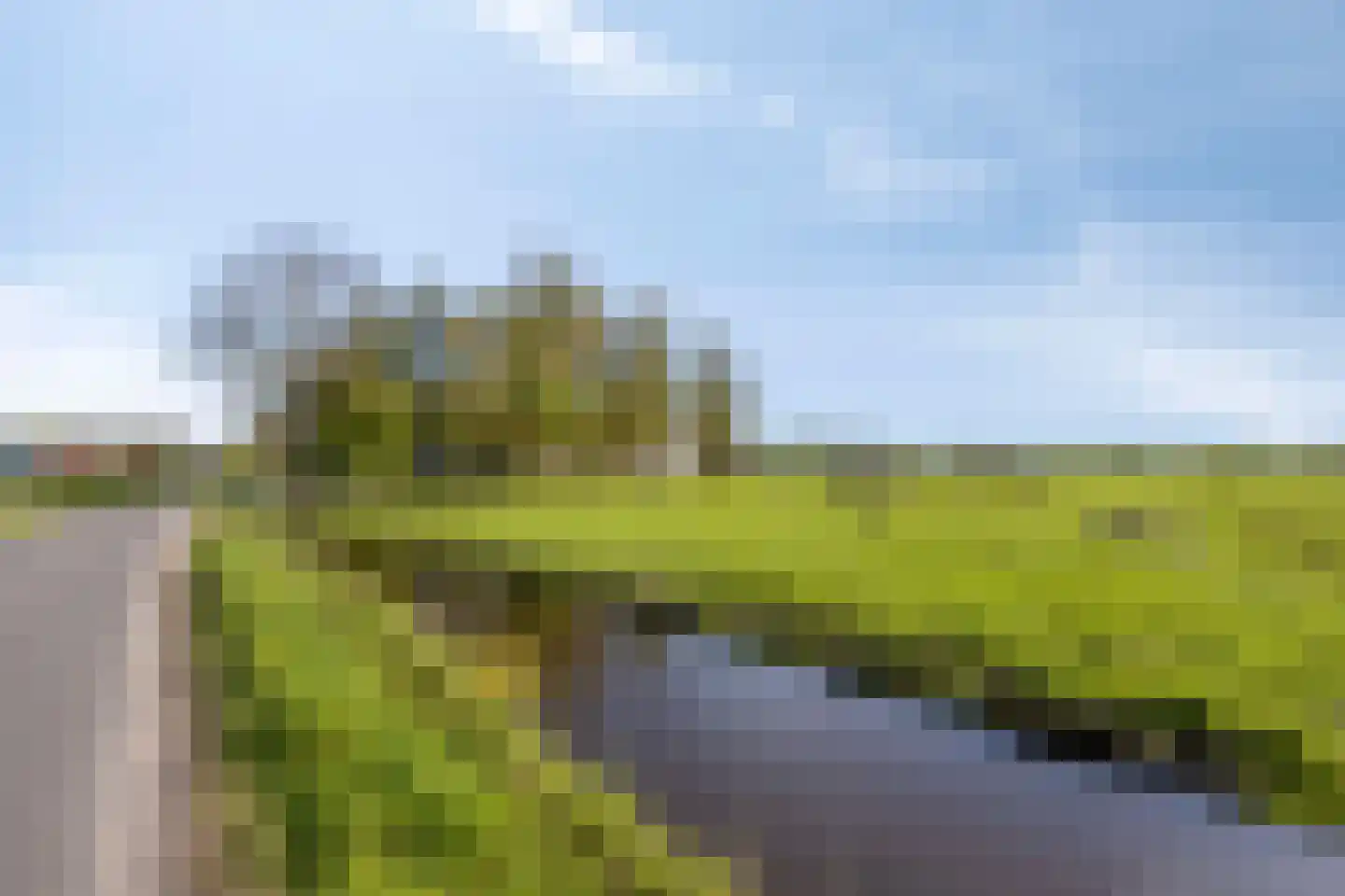 Aandammergouw 15 Zuiderwoude thumbnail 13