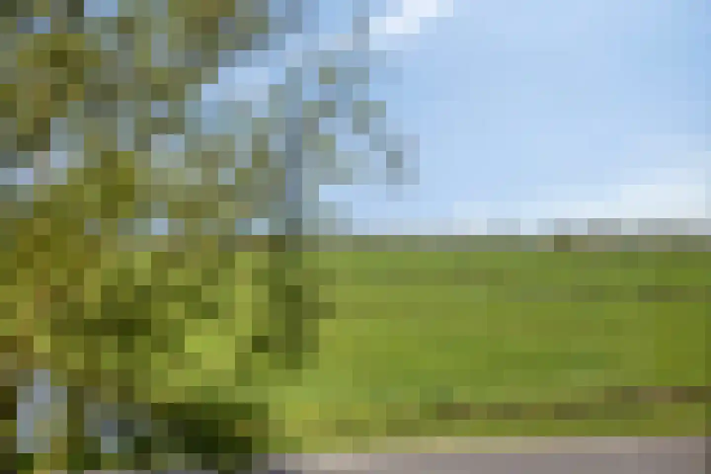 Aandammergouw 15 Zuiderwoude thumbnail 14