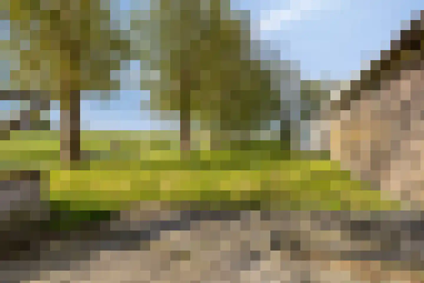 Aandammergouw 15 Zuiderwoude thumbnail 15