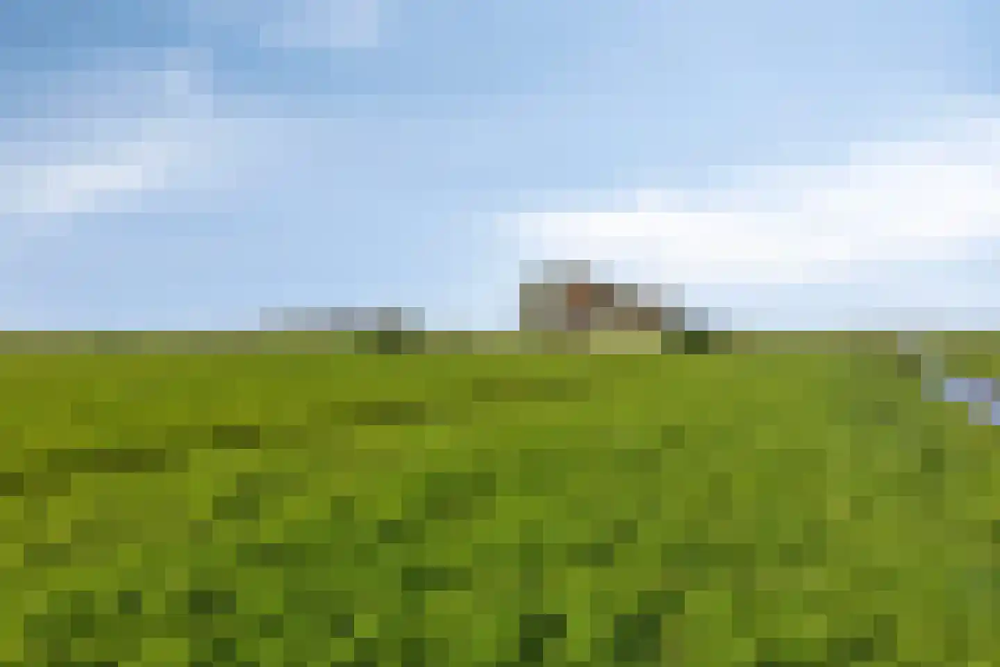 Aandammergouw 15 Zuiderwoude thumbnail 18