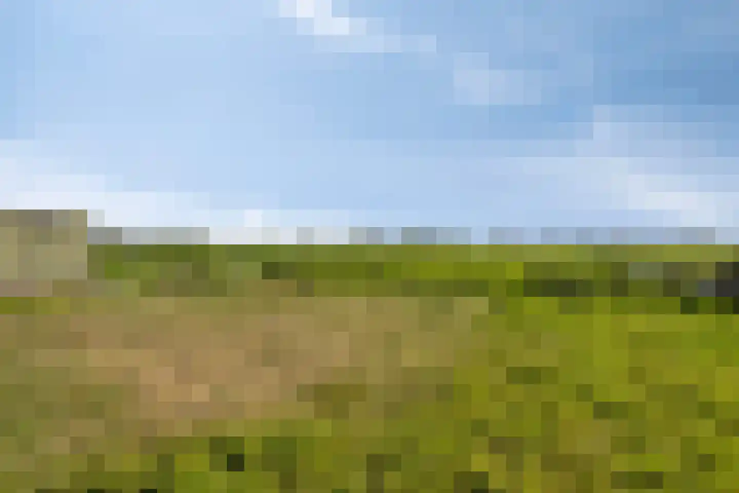 Aandammergouw 15 Zuiderwoude thumbnail 19