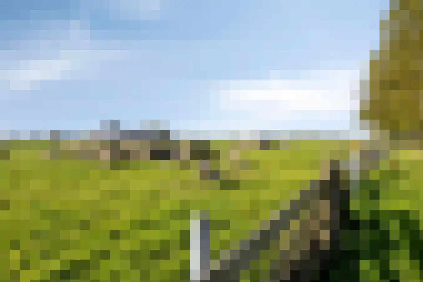 Aandammergouw 15 Zuiderwoude thumbnail 20