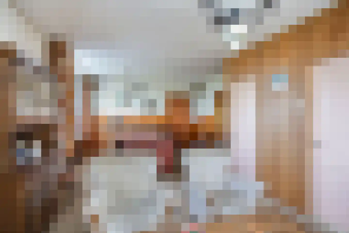 Aandammergouw 15 Zuiderwoude thumbnail 4