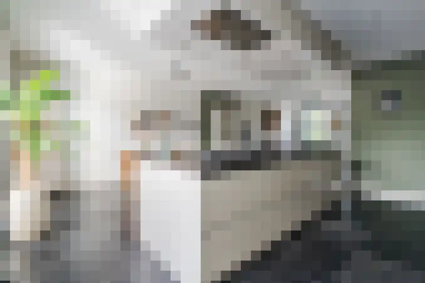 Aangelag 13 Nuenen thumbnail 16