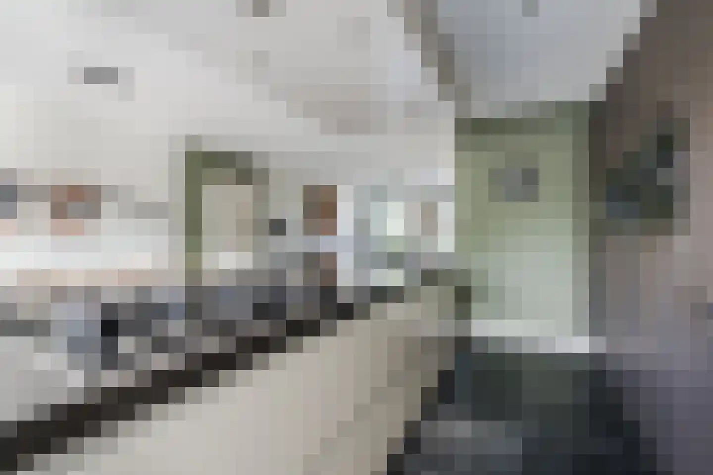 Aangelag 13 Nuenen thumbnail 18